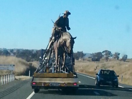 Horse Delivery