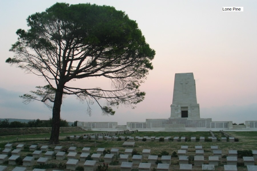 Lone Pine Gallipoli where Alf rests in peace